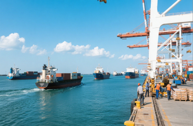 上海國(guó)際海運(yùn)代理服裝進(jìn)口有何獨(dú)特策略