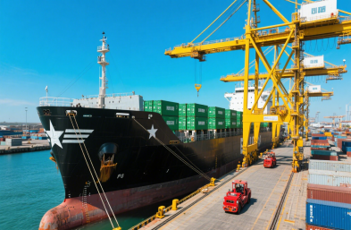 國際海運(yùn)物流公司：高效運(yùn)輸，縮短木材出口時空距離